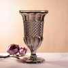 اسطوانات الكريستال ذات القدمين العرقيتين الاوروپية التي تحفر في الصخور والفم المتلألئة Specification image